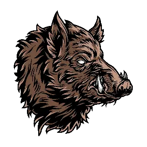 Boars and Bears